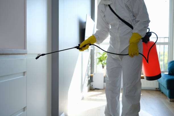 Best Mold Removal Company Near Me  in Fostoria, OH
