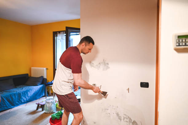 Best Mold Cleaning Services  in Fostoria, OH